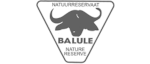 clients logo